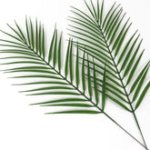 2pcs Artificial Tropical Areca Palm Leaf 56cmH Faux Palm Leaf Fake Tropical Leaves